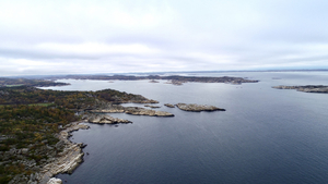 Bilde av 